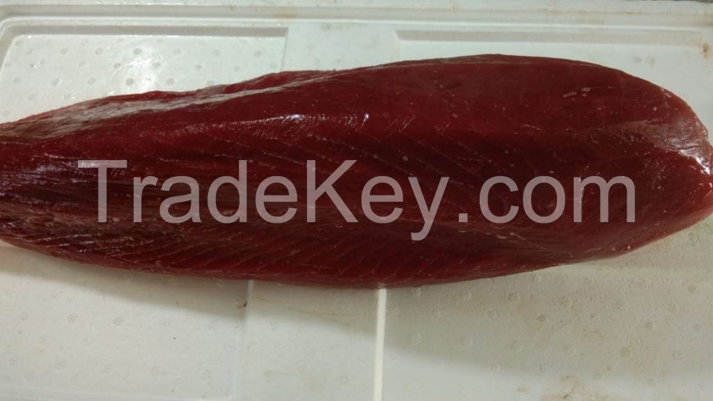 Fresh Frozen Tuna