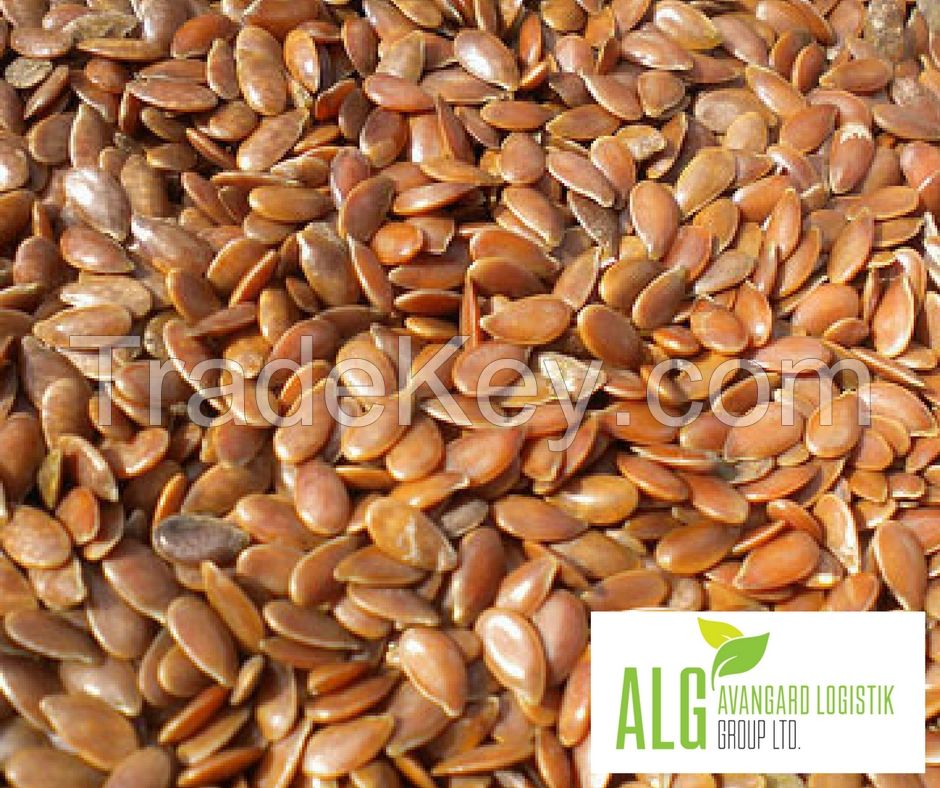 Flax Seed (Lin Seed)