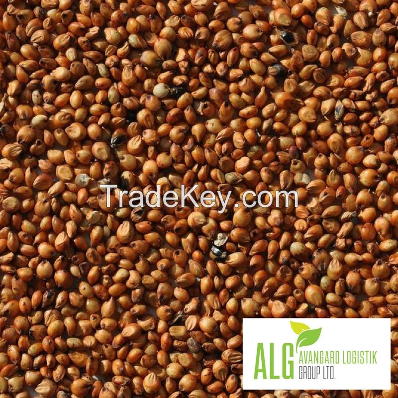 RED SORGHUM