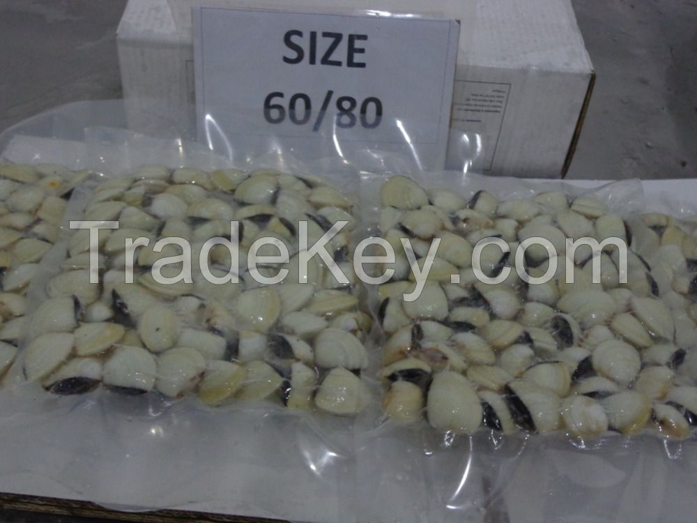 FROZEN COOKED WHOLE WHITE CLAM