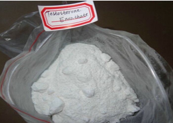 Testosterone Enanthate Steroid Powders for Muscle Growth CAS:315-37-7