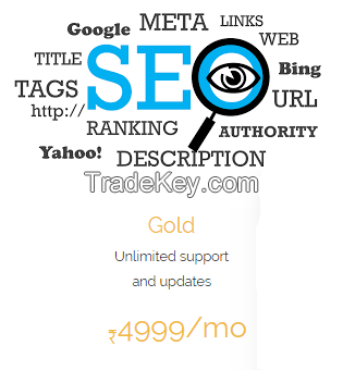 SEO Service Packages - SEO , SEM , PPC