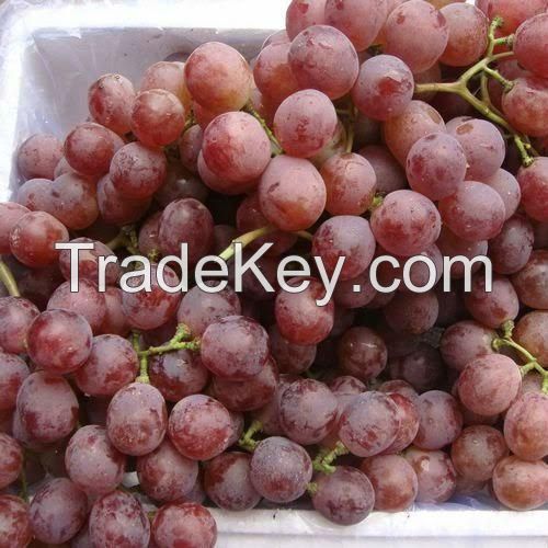 Grade A Fresh Fruits, Apples, Organges, Lemons, Grapes, Olives, Mangoes For Sale