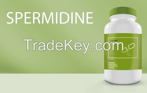 Spermidine,Wheat Germ Extract  Cas No 124-20-9