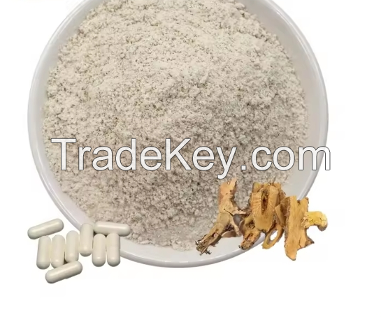 Resveratrol Powder Tetrahydropalmatine