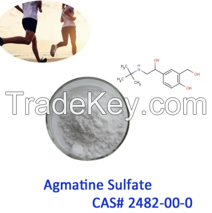 Agmatine Sulfate CAS No. 2482-00-0 N-(4-AMINOBUTYL)GUANIDINE SULFATE