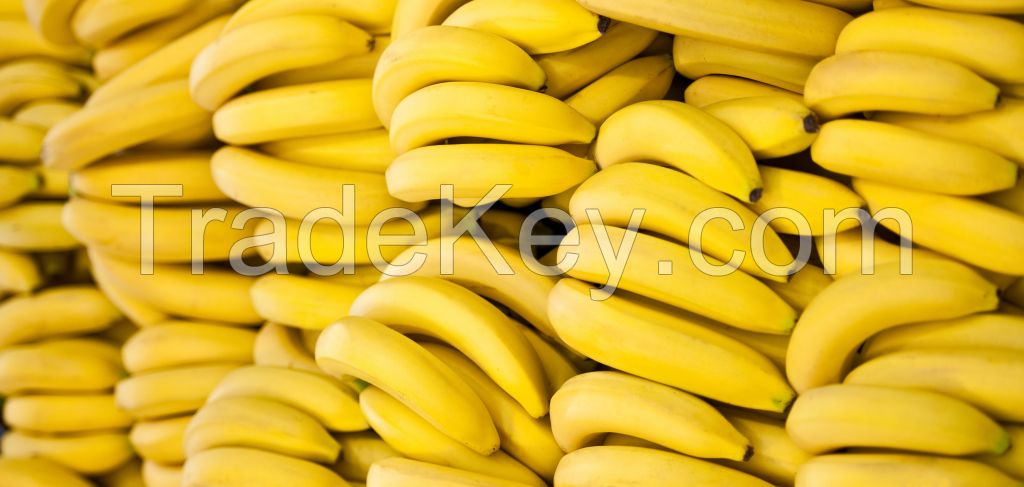 fresh bananas