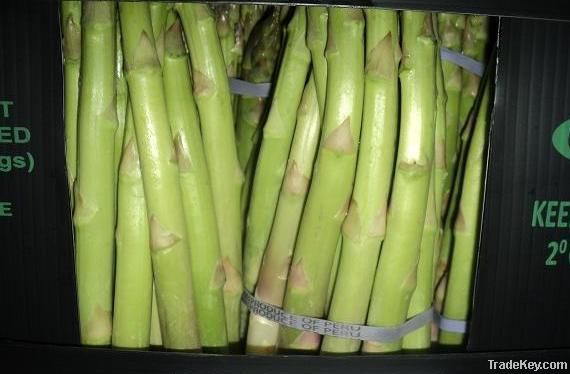 ASPARAGUS