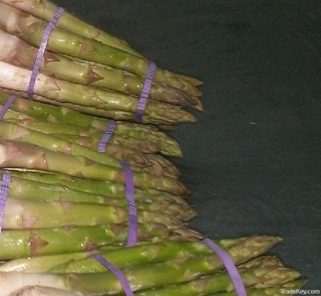 ASPARAGUS