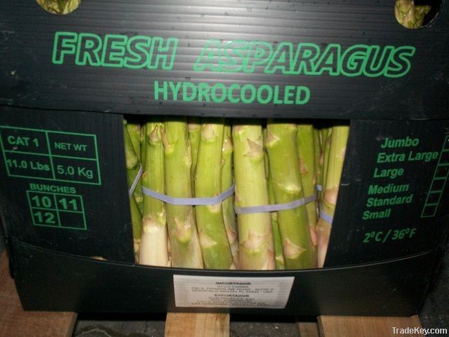 ASPARAGUS