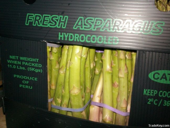 ASPARAGUS IN BOXES