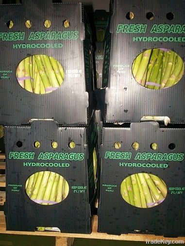 ASPARAGUS IN BOXES