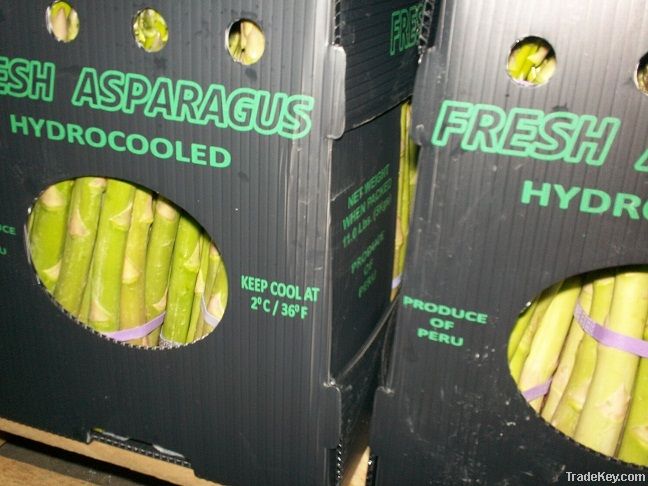 Fresh Asparagus