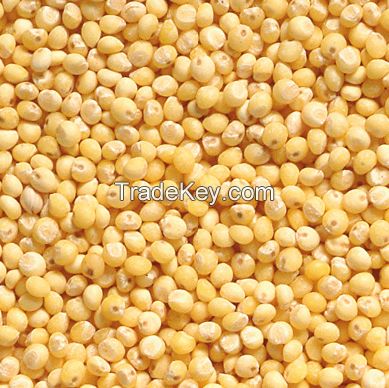 Millet (Hulled)