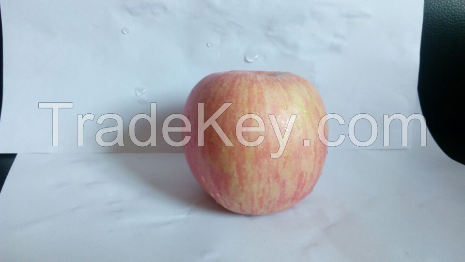 fresh fruit apple