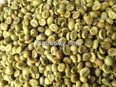 Green Robusta coffee beans