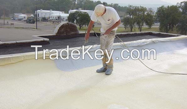 Spray Foam Roof