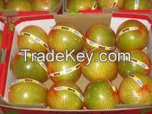 fresh honey  pomelo