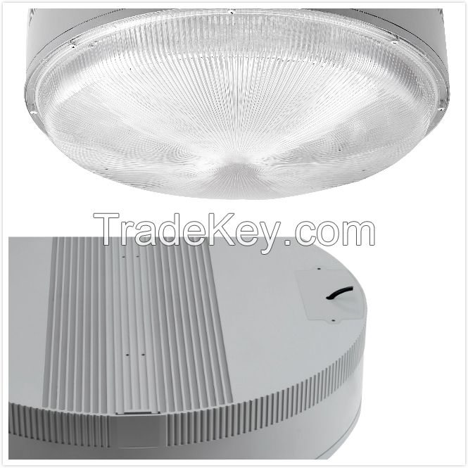 Ceiling Light