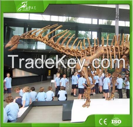 KAWAH Museum Artificial Educational Dinosaur Skeletons For Kids