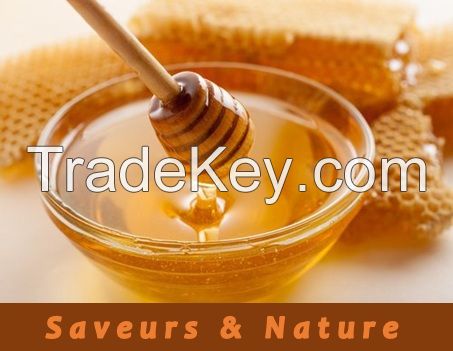 Honey for Moroccan terroir