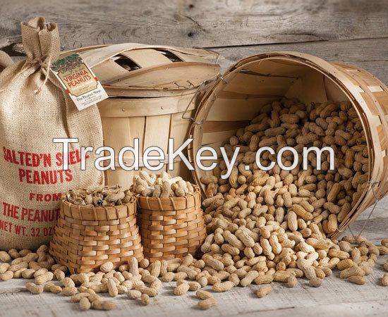 Packed Peanuts, Best Quality