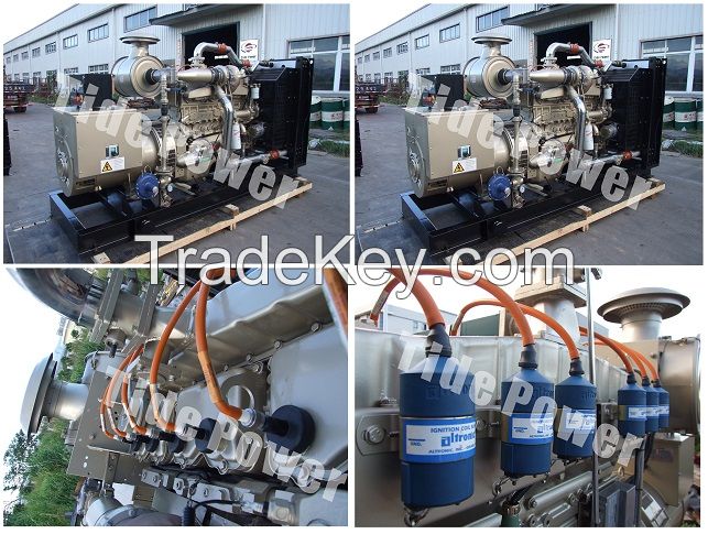 Gas Genset China Gas Generator Set