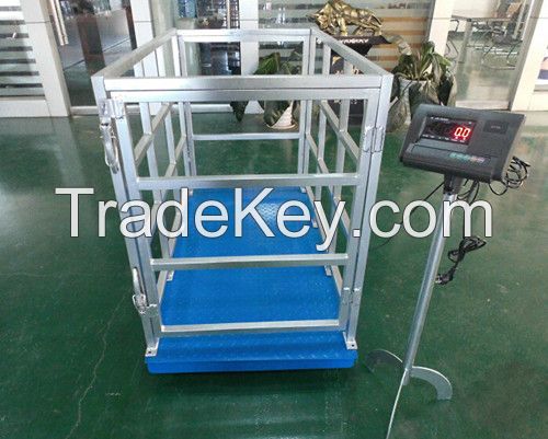 Animal Scale, livestock scale, pig weighing scale, cow weighing scale, sheep weighing scale, horse weighing scale