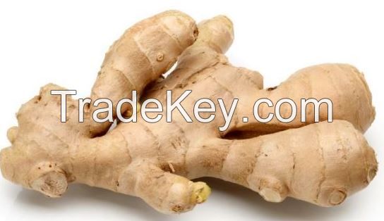 GINGER (DRIED,PEELED,SPLIT)