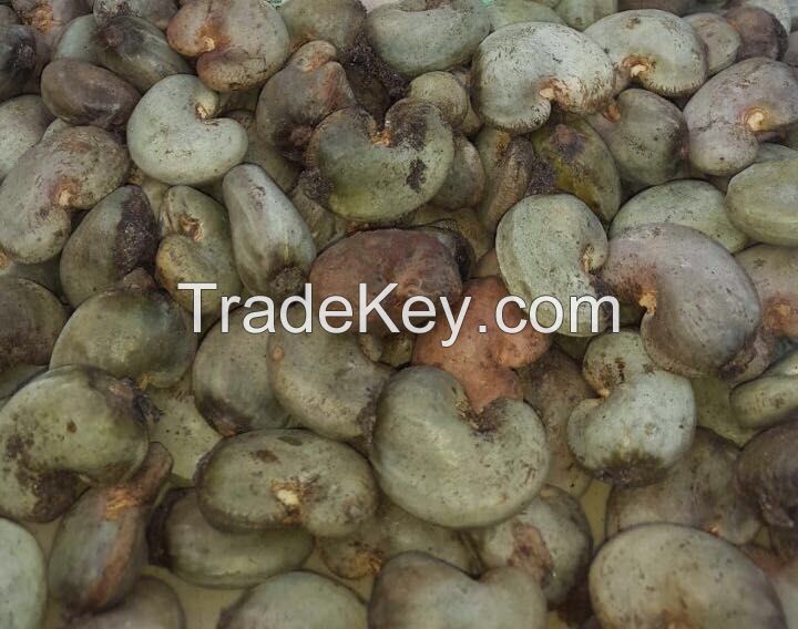 cashew nuts