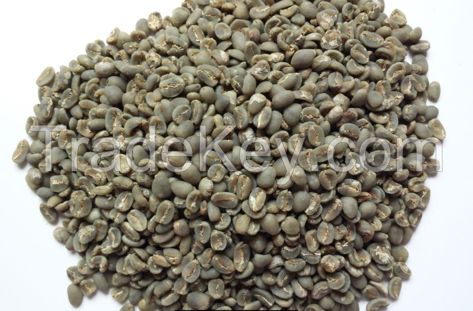 Robusta Lampung Green Coffee Beans