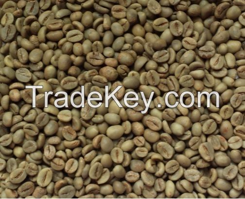 Robusta Lampung Green Coffee Beans