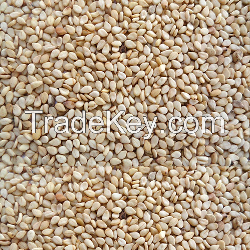 Sesame Seeds