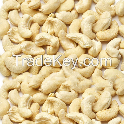 Cashew Nut