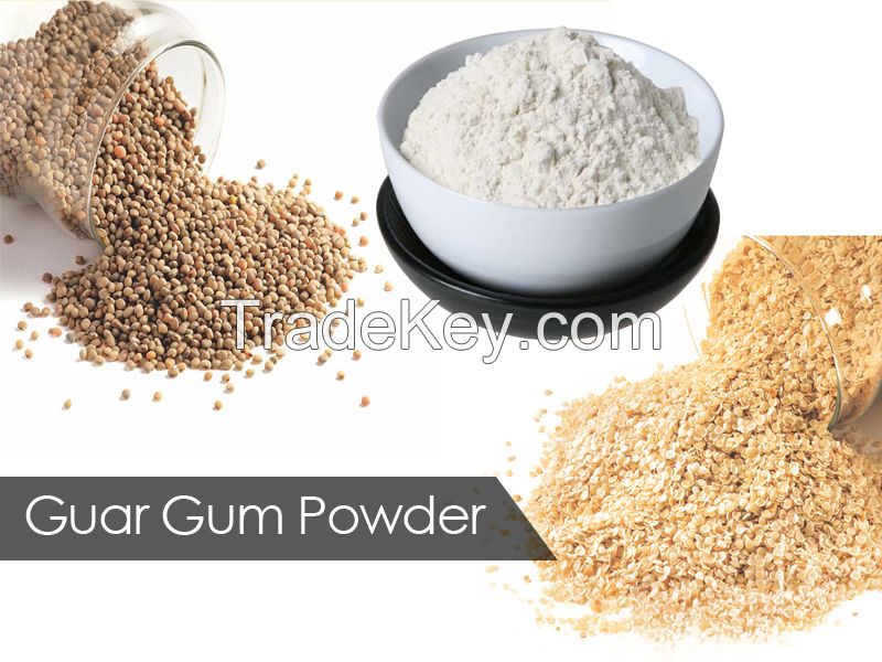 Guar Gum Powder and Guar Gum Meal for Food and Medicines manufacturing industries