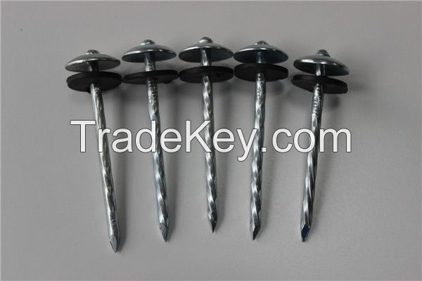 Galvanized Roofing Nail  with Twisted/Plain Shank with Washer
