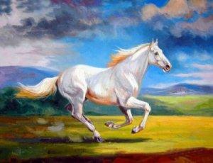 Modern Oil paintings on canvas running horses