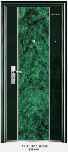 Steel Door(Enamel surface)