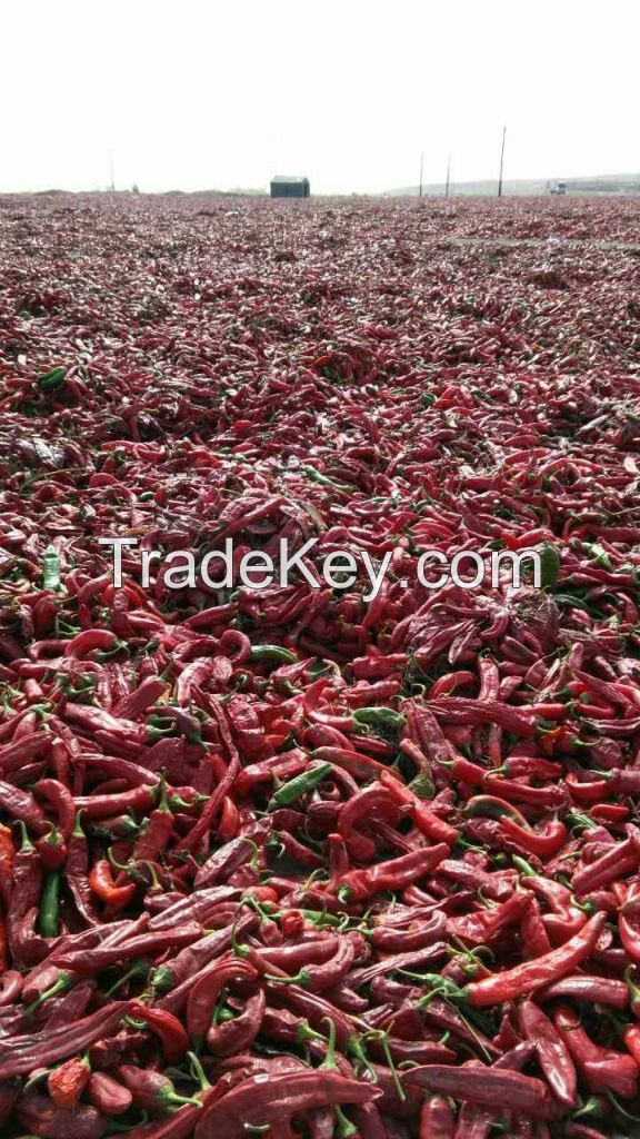 paprika pods