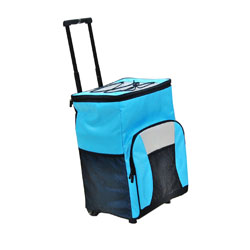 Cooler bag