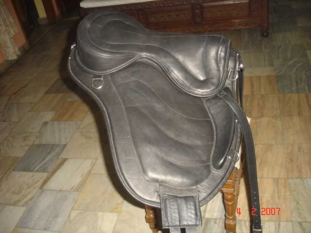 Treeless Jumping Saddle