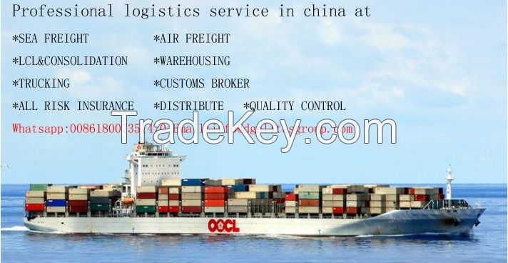 Shenzhen Shanghai Ningbo Qingdao Xiamen Port to Los Angeles  Tampa New York Miami China International Logistic Freight Forwarder 