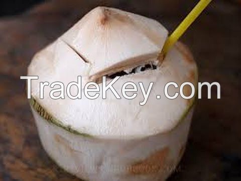 Organic Thai Young Coconut