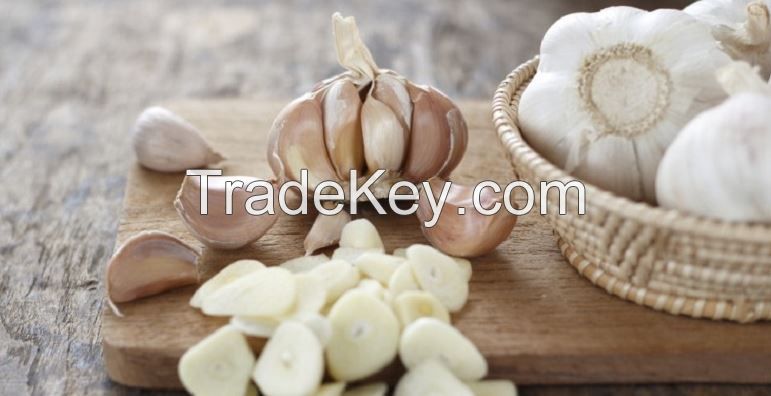 Garlic