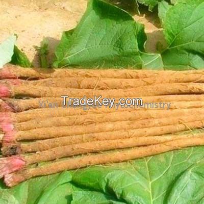 Burdock Root Extract