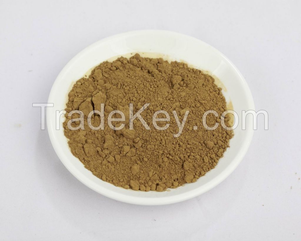 Pure Natural Herbal Extract Rosemary Extract Powder