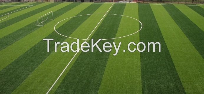 Artificial  Grass