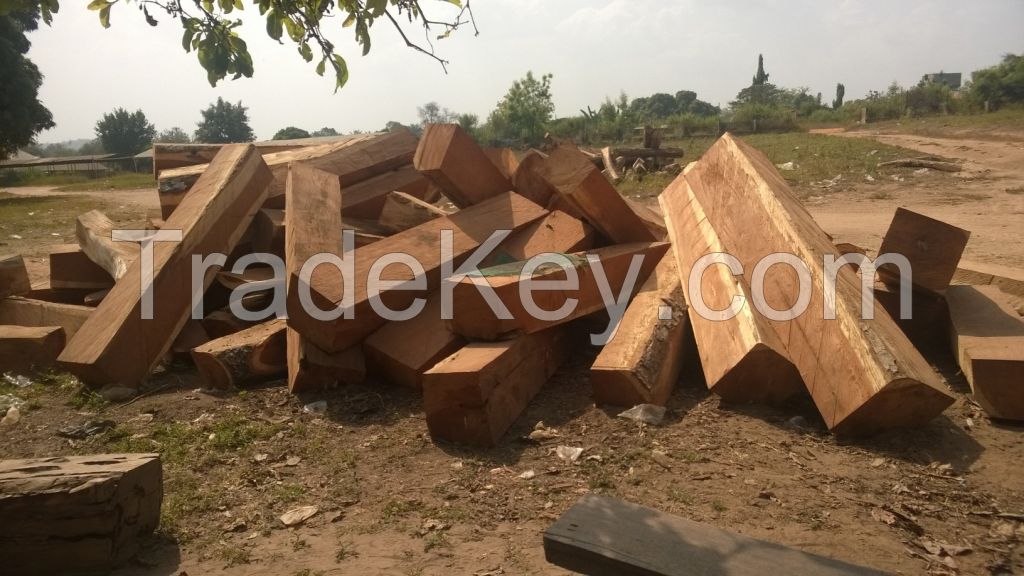 Kosso Wood - Famour Nigerian Good Quality Timber