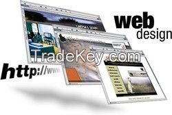 Professional Website Development