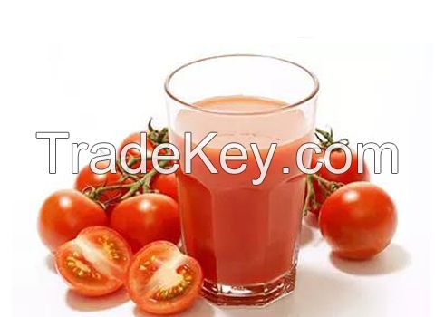 Tomato Ketchup Processing Machinery